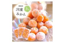 旬の愛媛みかんをまるごと冷凍!皮つき冷凍みかん 3kg＜D25-245＞【1631394】