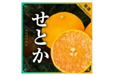 三代目の柑橘の大トロ＜せとか＞4kg　サイズ:L～4L混合＜E31-52＞_ みかん ミカン 柑橘 せとか フルーツ くだもの 果物 ふるーつ 青果 果実 人気 甘い ジューシー 産直 産地直送 旬 柑橘類 人気 愛媛 果汁 八幡浜市【1631010】