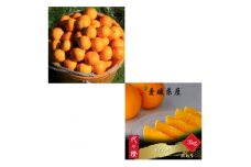 ＜発送月固定定期便＞＜訳あり＞みかん まどんな＜E83-49＞全2回【4068837】
