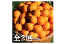 ＜発送月固定定期便＞代々橙みかん5kg(家庭用・サイズ混合)＜E83-50＞全2回【4068839】
