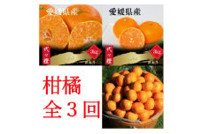 ＜発送月固定定期便＞＜訳あり＞甘平 せとか みかん＜H83-51＞全3回【4068840】