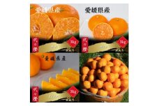 ＜発送月固定定期便＞＜訳あり＞甘平 せとか みかん まどんな＜H83-52＞全4回【4068841】