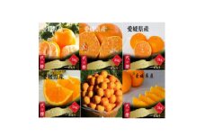＜発送月固定定期便＞＜訳あり＞みかん柑橘のある暮らし＜柑橘詰め合わせ便＞＜H83-53＞全6回【4068842】