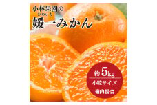 小林果園の媛一みかん＜小粒＞約5kg＜C24-34＞【1633616】
