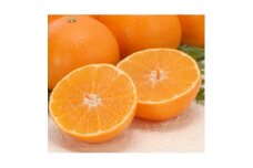 愛まどんな 家庭用1.5kg＜C21-42＞【1633288】
