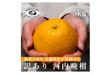愛媛みかんの老舗＜河内晩柑 訳あり 5kg＞新口農園＜C70-87＞【1635557】