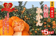 太陽の光・石垣の反射光・海面の反射光を浴びて育った「八幡浜みかん」約5キロ＜C39-79＞【1636310】