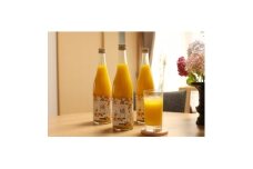 ともんちのみかん清見ジュース 720ml×3本(計2160ml)＜D91-1＞【1639242】