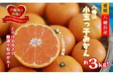 2025年11月～順次出荷　小粒・濃厚な味わい!!「八幡浜小玉っ子みかん」約3kg＜A39-80＞【1639302】