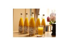 ともんちのみかん清見ジュース 720ml×6本＜G91-2＞【1639444】