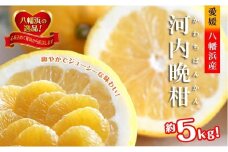 2026年4月～順次出荷　爽やかでみずみずしい!初夏のジューシー「河内晩柑」約5キロ＜C39-81＞【1639646】
