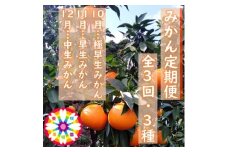 ＜発送月固定定期便＞愛咲果樹園「みかん定期便」(10月～12月)＜G71-31＞全3回【4069036】