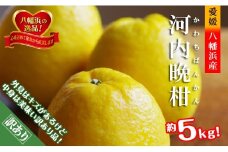 2026年4月～順次出荷　爽やかでみずみずしい!初夏の「河内晩柑」約5キロ＜訳あり＞＜C39-82＞【1640764】