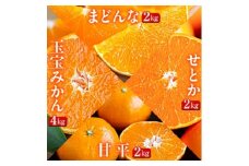 ＜発送月固定定期便＞「蜜時(みつどき)便り」愛媛限定のまどんなや甘平も届きます＜H64-92＞全4回_みかん ミカン マドンナ 紅まどんな同品種 甘平 果物 フルーツ 旬 柑橘 柑橘類 甘い 定期便 果物旬 【4069712】