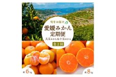 ＜発送月固定定期便＞＜2025年11月より発送＞みかん大玉8kg×小玉6kg＜E25-246＞全2回【4070081】
