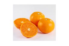 せとか1.5kg(秀品)＜C21-43＞【1647048】