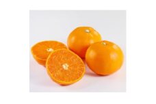 せとか1.5kg(秀品)＜C21-43＞_ みかん ミカン 柑橘 せとか フルーツ くだもの 果物 ふるーつ 青果 果実 人気 甘い ジューシー 産直 産地直送 旬 柑橘類 人気 愛媛 果汁 八幡浜市【1647048】
