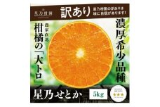 ＜訳あり＞星乃せとか 柑橘の大トロ(5kg)＜C45-97＞【1650682】
