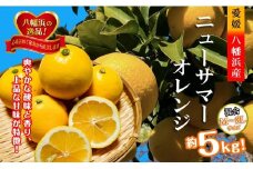 2026年4月発送開始　さわやかな香りと上品な甘さ!「ニューサマーオレンジ」約5キロ＜D39-83＞【1649781】