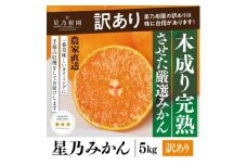 ＜訳あり＞星乃みかん園の星乃みかん(5kg)＜A45-98＞【1650693】