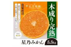 ＜三つ星ブランド＞星乃みかん(5.5kg)＜C45-99＞【1652556】