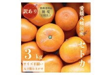 ＼みかんの大トロ/糖度12.0以上酸1.4以下 糖酸選別品 訳あり 愛媛セトカ3kg＜C20-14＞【1094586】