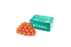 真穴みかん＜Mサイズ＞ 約3kg＜D43-10＞【1654524】