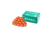 真穴みかん＜Mサイズ＞ 約3kg＜D43-10＞_ みかん 蜜柑 ミカン 愛媛みかん 愛媛 真穴 まあな 国産 箱 送料無料 農家直送 産地直送 柑橘 かんきつ 温州みかん 旬 フルーツ 果物 くだもの【1654524】