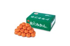 真穴みかん＜2Lサイズ＞約5kg＜E43-10＞【1654525】