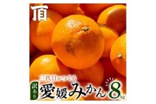 ＜訳あり(家庭用)＞三代目がつくる愛媛みかん 8kg＜C31-40＞【1556518】