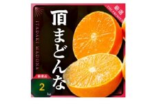 ＜冬限定の贅沢＞ゼリーのような果肉!頂まどんな 2kg＜D31-54＞_みかん ミカン マドンナ 紅まどんな同品種 柑橘 柑橘類 フルーツ 果物 くだもの 人気 美味しい 愛媛県 八幡浜 ふるさと【1660046】