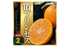 ＜紅プリンセス同品種＞愛媛県産 新品種柑橘 愛果48号＜甘平×まどんな＞2kg＜D31-56＞【1660048】