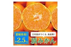 ＜発送月固定定期便＞＜定期便3か月＞頂みかん2.5kg＜E31-57＞全3回【4072792】