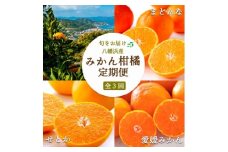 ＜発送月固定定期便＞愛媛みかん大玉8kg×まどんな2.5kg×せとか2kg＜H25-281＞全3回【4071450】