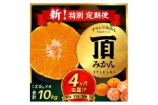 ＜発送月固定定期便＞＜4ヶ月連続＞旬ごとに味わいが変化!頂みかん 2.5kg＜G31-58＞全4回【4073179】