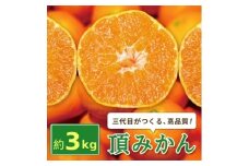 三代目がつくる高品質＜頂みかん＞3kg【1181950】