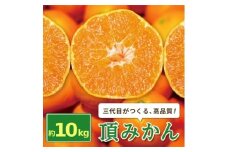 三代目がつくる高品質＜頂みかん＞10kg【1181951】