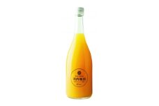 河内晩柑ジュース(ストレート)720ml×12本＜H56-79＞【1668628】