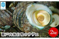 絶品！！瀬戸内海自慢のサザエ2kg