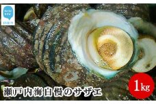 絶品！！瀬戸内海自慢のサザエ1kg