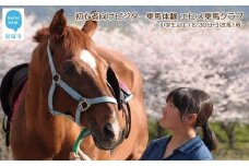 初心者向け　ビジター乗馬体験　エヒメ乗馬クラブ（小学生以上1名 30分+引き馬1周）