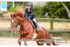 初心者歓迎　マンツーマン乗馬教室30分×4回　エヒメ乗馬クラブ（小学生以上1名）