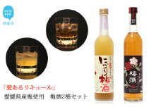 「愛あるリキュール」梅酒500ml×2種セット ひめさくらの梅酒・にごり梅酒 愛媛県産梅使用 【愛媛 近藤酒造】 ギフト・プレゼントに最適