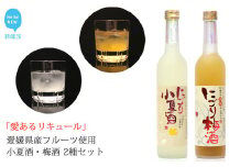 「愛あるリキュール」500ml×2種セット にごり梅酒・にごり小夏酒 愛媛県産フルーツ使用 【愛媛 近藤酒造】 ギフト・プレゼントに最適