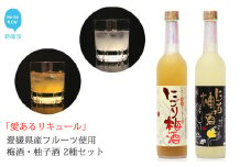 「愛あるリキュール」500ml×2種セット にごり梅酒・にごり柚子酒 愛媛県産フルーツ使用 【愛媛 近藤酒造】 ギフト・プレゼントに最適