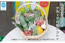 地元産旬野菜とフルーツの詰め合わせ（クール便でお届け） えひめ未来農業協同組合