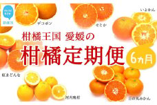【定期便】フルーツ 果物 みかん かんきつ 柑橘定期便 6か月【期間限定：10月31日まで】【発送期間限定：11月〜4月】 柑橘王国 愛媛