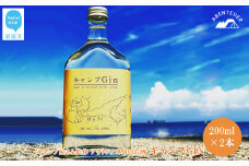 キャンプGIN 200ml×2本セット キャンプ屋さん監修 アウトドア専用のお酒 【アーベントイアー】 キャンプジン クラフトジン ソロキャン BBQ