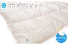 羽毛肌布団 ダウンケット セミダブルサイズ（S-02） ホワイトダウン８５％ 抗菌・防臭