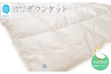 羽毛肌布団 ダウンケット キングサイズ（S-05） ホワイトダウン８５％ 抗菌・防臭